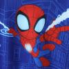 imageMarvel Avengers Spiderman Iron Man Captain America Venom Boy Girl Hoodie Graphic Sweatshirt Lightweight Cloth Pullover 29YSpidermanblue