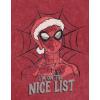 imageMarvel Christmas Halloween July 4th Fathers Day Matching Family TShirt Toddler to Adult Sizes 2T  2XLRed  Spiderman  Christmas