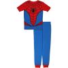 Spider Costume