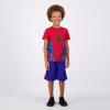 imageMarvel Avengers SpiderMan Boys TShirt and Short Set for Toddler and Little Kids  BlueRedRedBlue