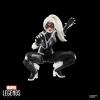 imageMarvel Legends Series Gamerverse Black Cat Felicia Hardy SpiderMan 2 Video GameInspired Collectible 6 Inch Action Figure