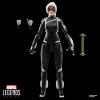 imageMarvel Legends Series Gamerverse Black Cat Felicia Hardy SpiderMan 2 Video GameInspired Collectible 6 Inch Action Figure