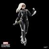 imageMarvel Legends Series Gamerverse Black Cat Felicia Hardy SpiderMan 2 Video GameInspired Collectible 6 Inch Action Figure