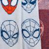 imageMarvel Spidey ampamp His Amazing Friends Ghost Spider Feather Knit Fluffy Throw Blanket  Gwen Stacy Fuzzy Blanket Measures 50 x 60 inch Super Soft Lightweight BeddingGray  Spiderman