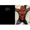imageSpiderMan Panel by Panel