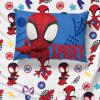 imageJay Franco Marvel Spiderman Webtastic 5 Piece Twin Size Bed Set  Includes Reversible Comforter ampamp Sheet Set  Super Soft Kids Bedding Fade Resistant Microfiber Official Marvel ProductBlue  Spidey  Friends