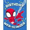 imageMarvel Spidey and His Amazing Friends Birthday TShirt Toddler to Big Kid Sizes 2T  1012Blue  Spiderman