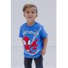 imageMarvel Spidey and His Amazing Friends Birthday TShirt Toddler to Big Kid Sizes 2T  1012Blue  Spiderman