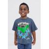 imageMarvel Spidey and His Amazing Friends Birthday TShirt Toddler to Big Kid Sizes 2T  1012Dark Gray  Hulk