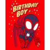 imageMarvel Spidey and His Amazing Friends Birthday TShirt Toddler to Big Kid Sizes 2T  1012Red  Miles Morales