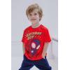imageMarvel Spidey and His Amazing Friends Birthday TShirt Toddler to Big Kid Sizes 2T  1012Red  Miles Morales