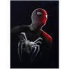 imageDisplate Metal Poster Marvel  Spiderman Game  Webhead  Easy Magnetic Mounting  SpiderMan Superhero Collectible Gifts  Wall Art Pictures for Bedroom Premium Posters  126x177 in266L x 189W