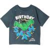 imageMarvel Spidey and His Amazing Friends Birthday TShirt Toddler to Big Kid Sizes 2T  1012Dark Gray  Hulk