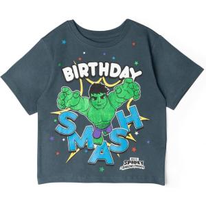 imageMarvel Spidey and His Amazing Friends Birthday TShirt Toddler to Big Kid Sizes 2T  1012Dark Gray  Hulk
