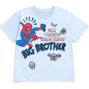 imageMarvel Spidey and His Amazing Friends Birthday TShirt Toddler to Big Kid Sizes 2T  1012Pale Blue  Spiderman  Big Brother
