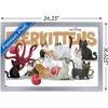 imageTrends International Marvel The Marvels  Flerkittens Wall Poster 34L x 224W Premium Unframed VersionSilver Framed Version