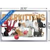 imageTrends International Marvel The Marvels  Flerkittens Wall Poster 34L x 224W Premium Unframed VersionSilver Framed Version